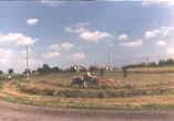 Grano