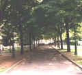 Viale del Municipio